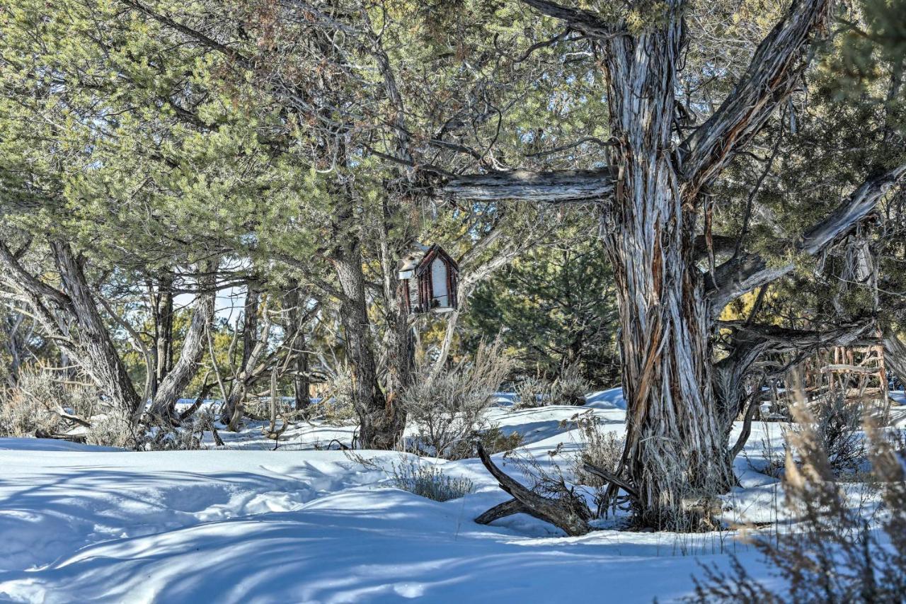 Eagles Landing A Quiet Colorado Mountain Escape Villa Buitenkant foto